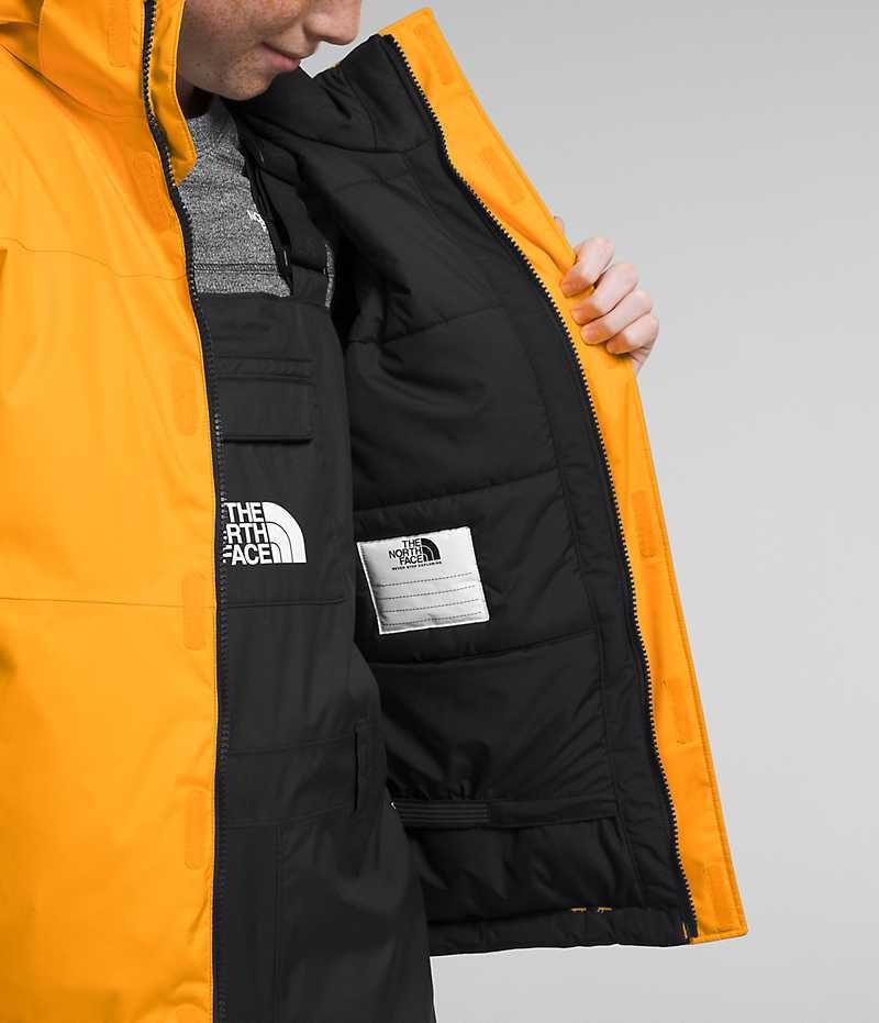 Chaquetas Aislantes The North Face Freedom Extreme Niño Doradas | CL-JNXMC