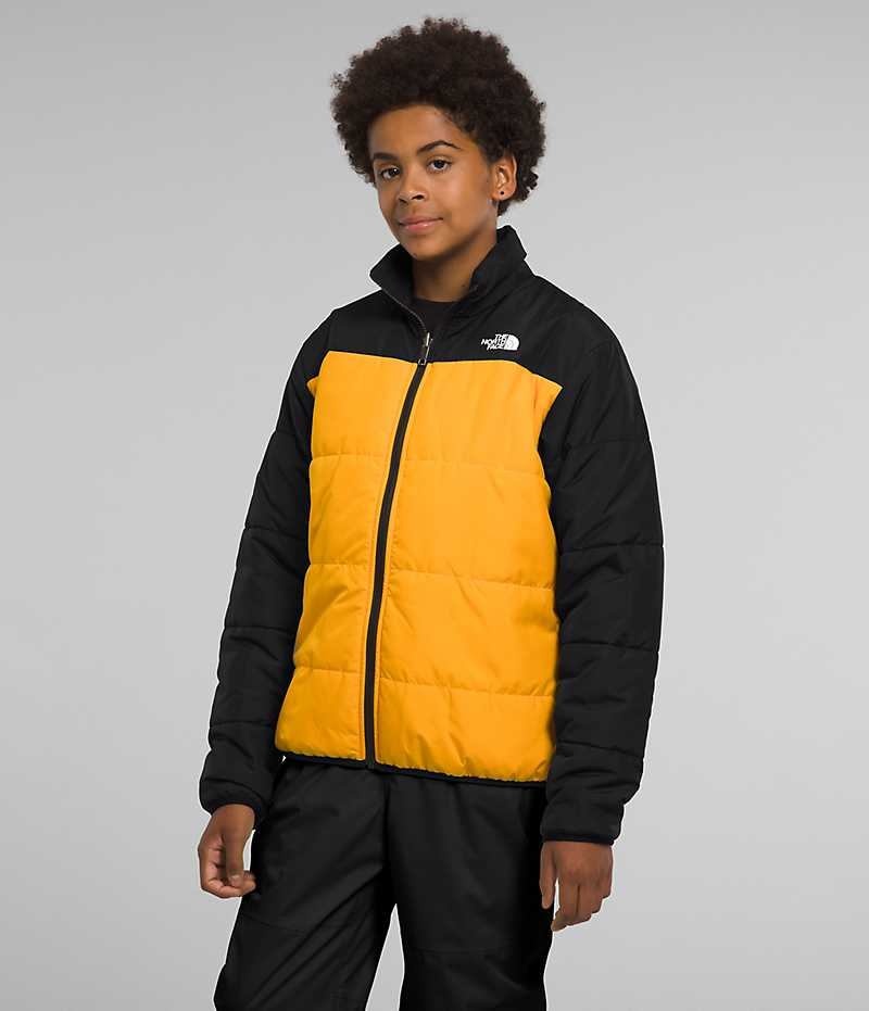 Chaquetas Aislantes The North Face Freedom Triclimate® Niño Negras | CHILE-FEGMK