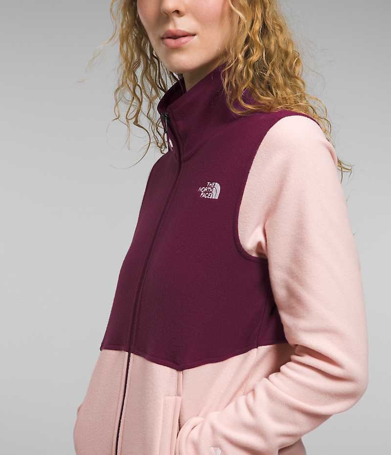 Chaquetas De Lana The North Face Alpine Polartec® 100 Mujer Rosas | CHILE-DLYPC