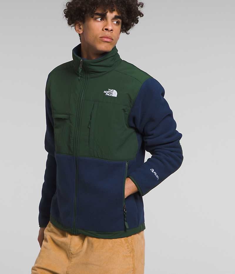 Chaquetas De Lana The North Face Denali Hombre Azul Marino Verde | CHILE-MPWAC