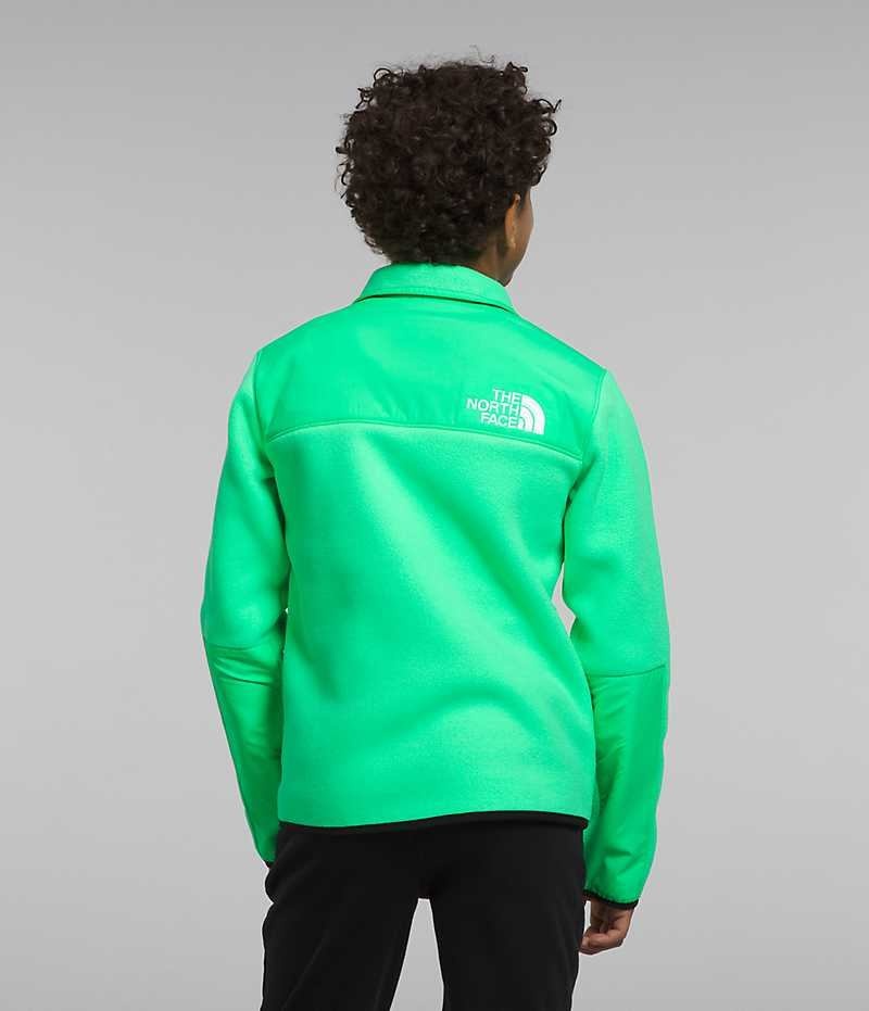 Chaquetas De Lana The North Face Denali Niño Verde | CL-ZCYFS