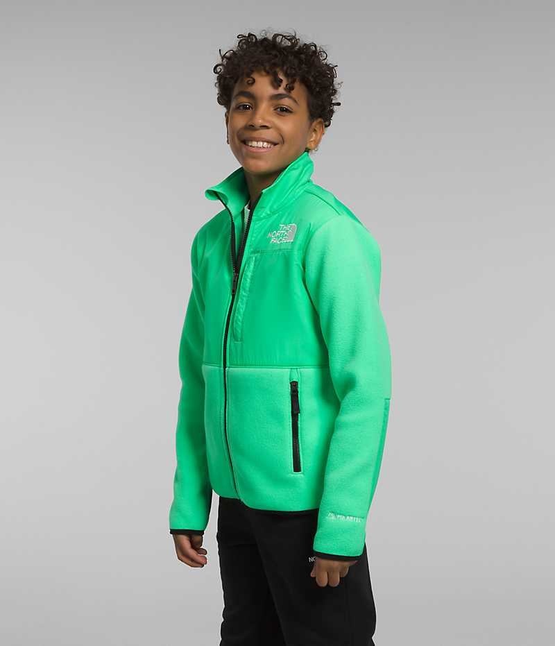 Chaquetas De Lana The North Face Denali Niño Verde | CL-ZCYFS