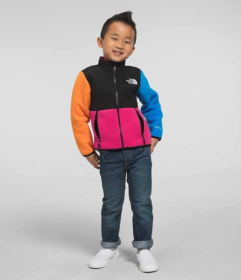 Chaquetas De Lana The North Face Denali Niño Multicolor | CL-YRSEJ