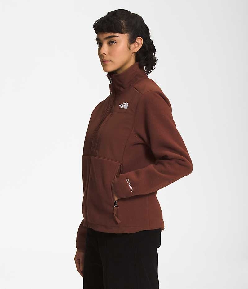 Chaquetas De Lana The North Face Denali Mujer Marrones | CHILE-RMSGD