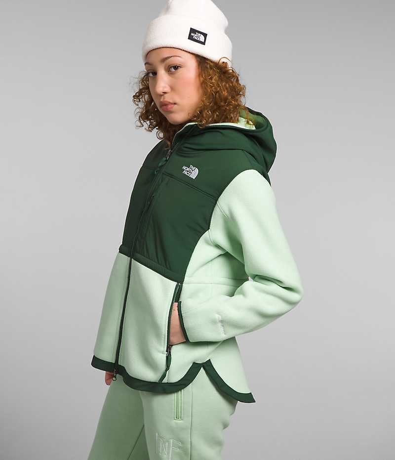 Chaquetas De Lana The North Face Denali Hoodie Mujer Verde | CL-NIYLM