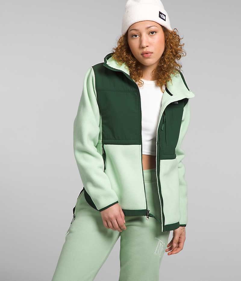 Chaquetas De Lana The North Face Denali Hoodie Mujer Verde | CL-NIYLM