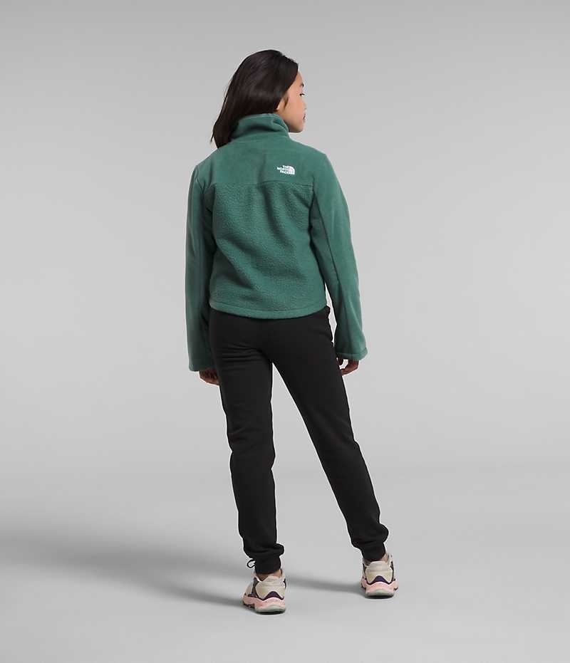 Chaquetas De Lana The North Face Fleece Mashup Niña Verde | CL-DIVWK