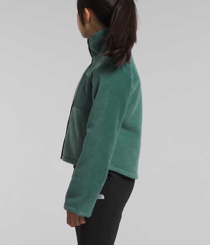 Chaquetas De Lana The North Face Fleece Mashup Niña Verde | CL-DIVWK