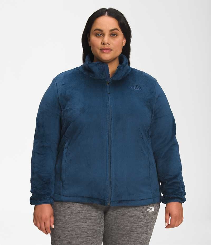 Chaquetas De Lana The North Face Plus Osito Mujer Azules | CL-ESWZT