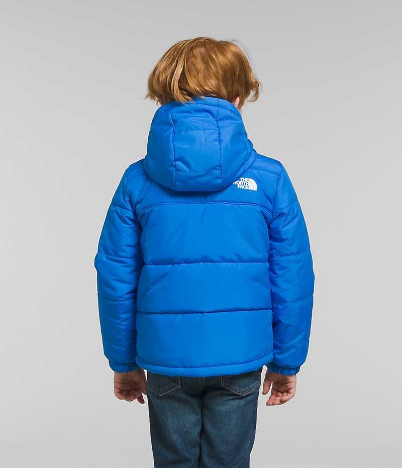 Chaquetas De Lana The North Face Reversible Mt Chimbo Full-Zip Encapuchado Niño Azules | CHILE-VPEHR