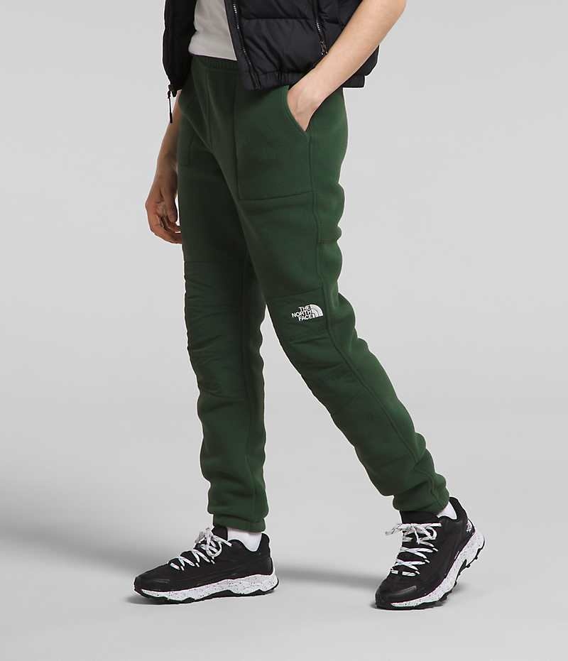 Pantalon The North Face Denali Mujer Verde | CL-RIHGU