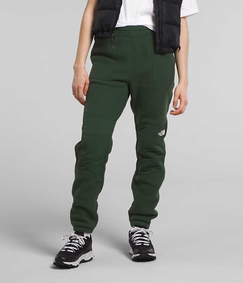 Pantalon The North Face Denali Mujer Verde | CL-RIHGU