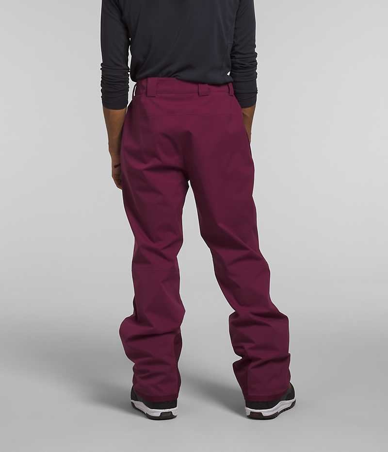 Pantalon The North Face Freedom Stretch Hombre Fucsia | CHILE-GZAHJ