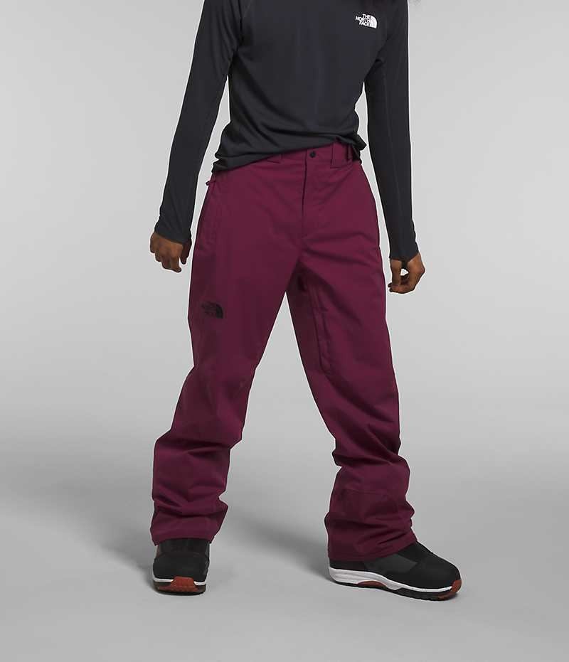 Pantalon The North Face Freedom Stretch Hombre Fucsia | CHILE-GZAHJ