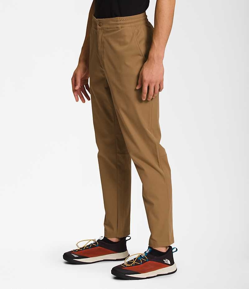 Pantalon The North Face Standard Tapered Hombre Marrones | CL-ISGOF