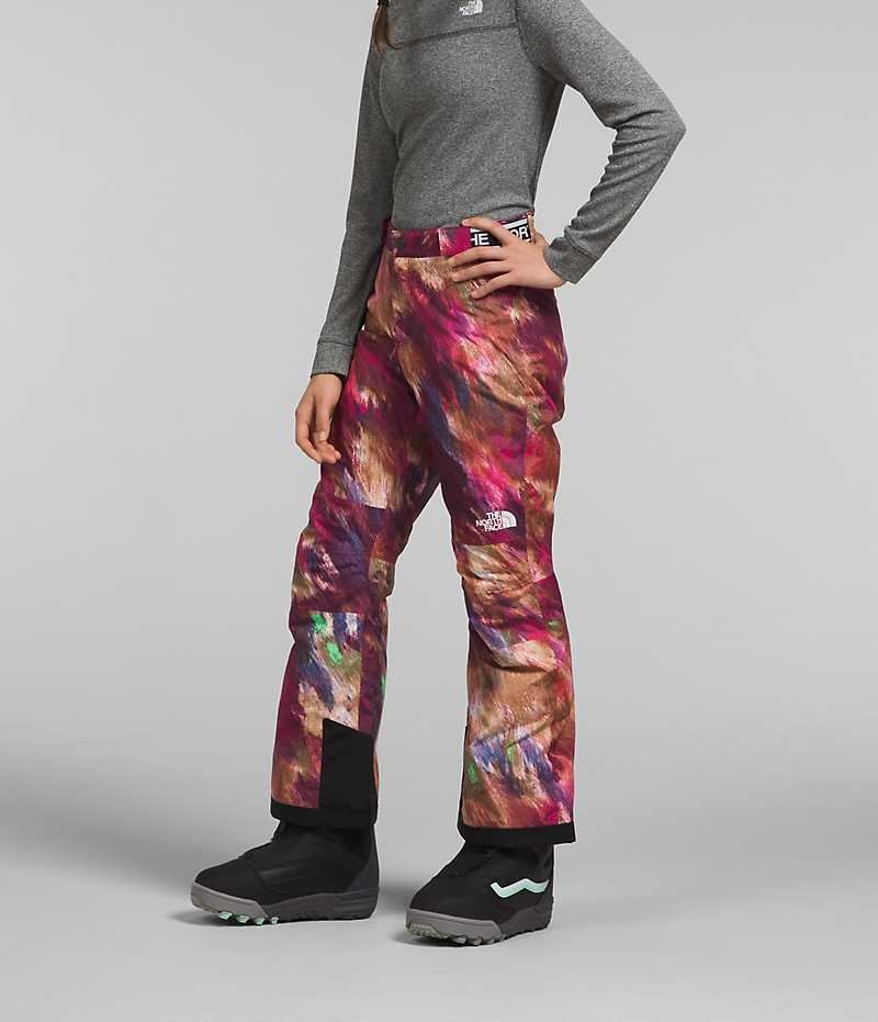 Pantalones Aislamiento The North Face Freedom Niña Multicolor | CL-EUJLV