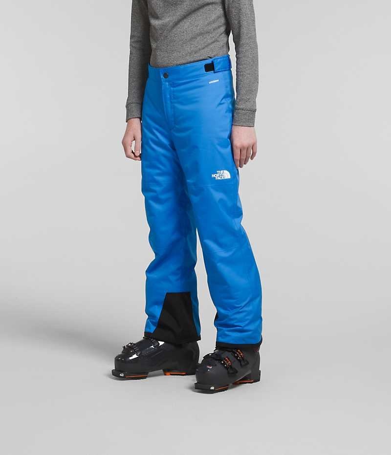 Pantalones Aislamiento The North Face Freedom Niño Azules | CL-DXIHS