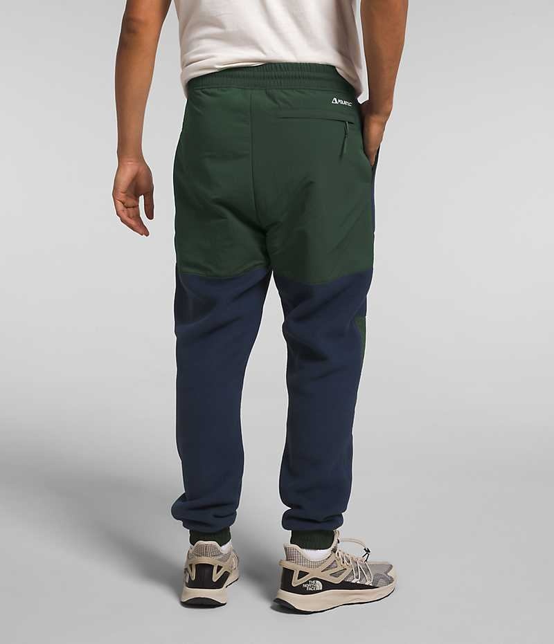 Pantalones De Vellón The North Face Denali Hombre Azul Marino Verde | CHILE-JXUZM