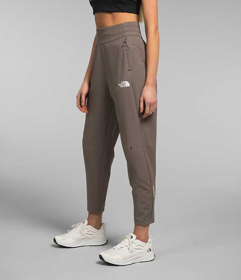 Pantalones De Vellón The North Face Tekware™ Grid Mujer Marrones | CL-HZFNT