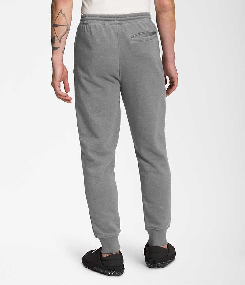 Pantalones Jogger The North Face Box NSE Hombre Gris | CL-UIJLT