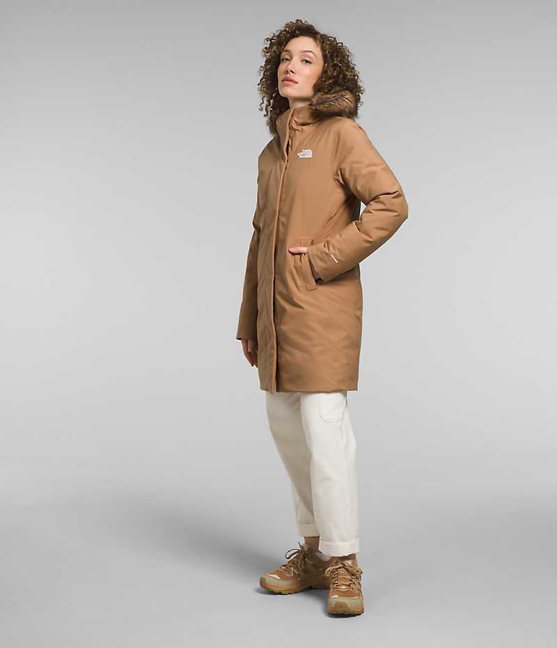 Parka The North Face Arctic Mujer Marrones | CHILE-JNYAM