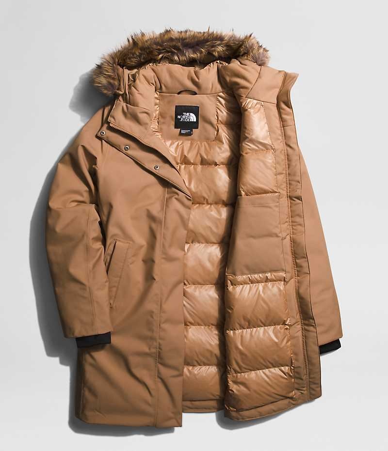 Parka The North Face Arctic Mujer Marrones | CHILE-JNYAM