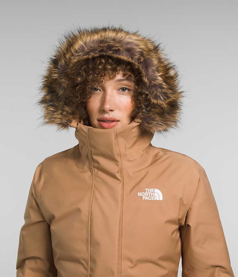 Parka The North Face Arctic Mujer Marrones | CHILE-JNYAM