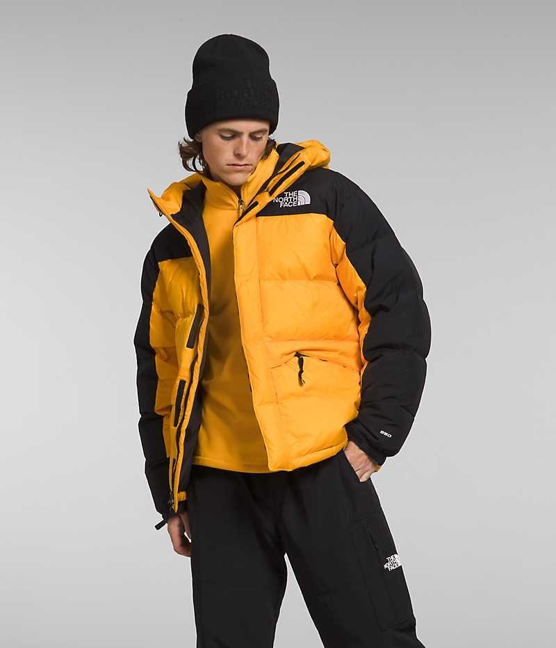 Parka The North Face HMLYN Down Hombre Doradas Negras | CHILE-WQPED