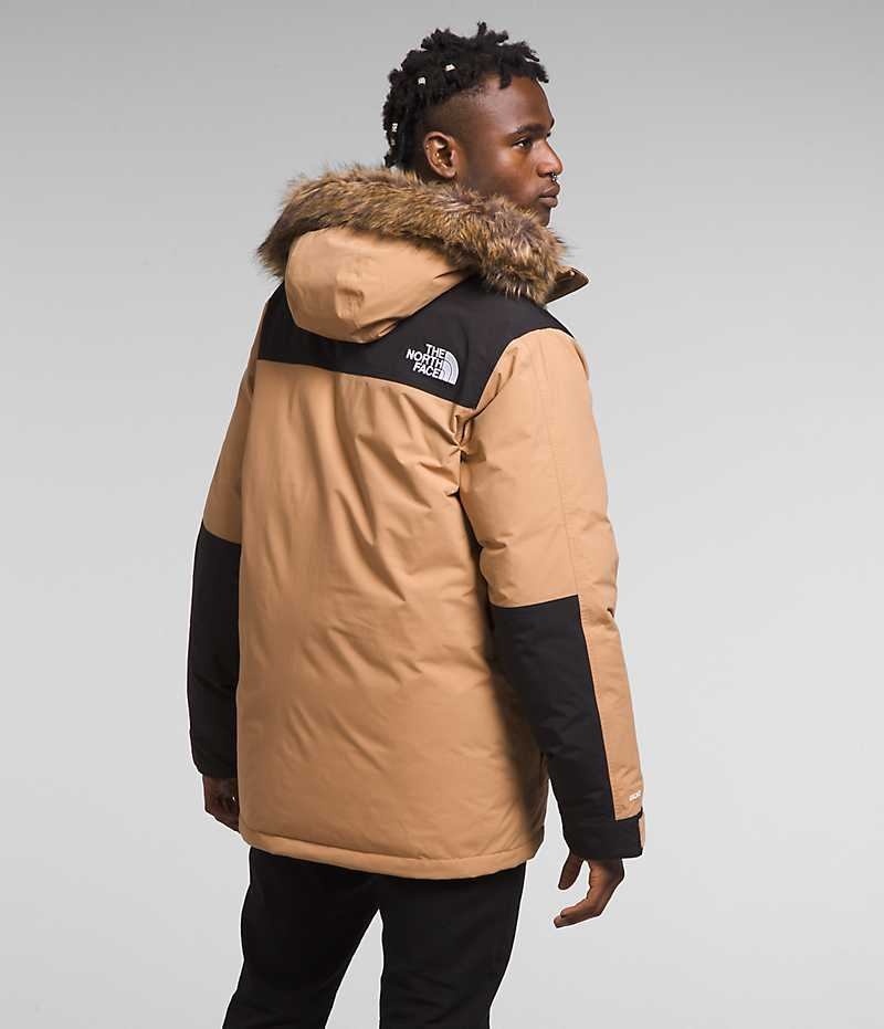 Parka The North Face McMurdo Hombre Beige | CL-QXGMJ