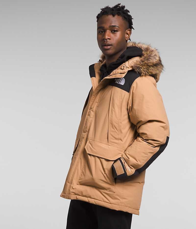 Parka The North Face McMurdo Hombre Beige | CL-QXGMJ