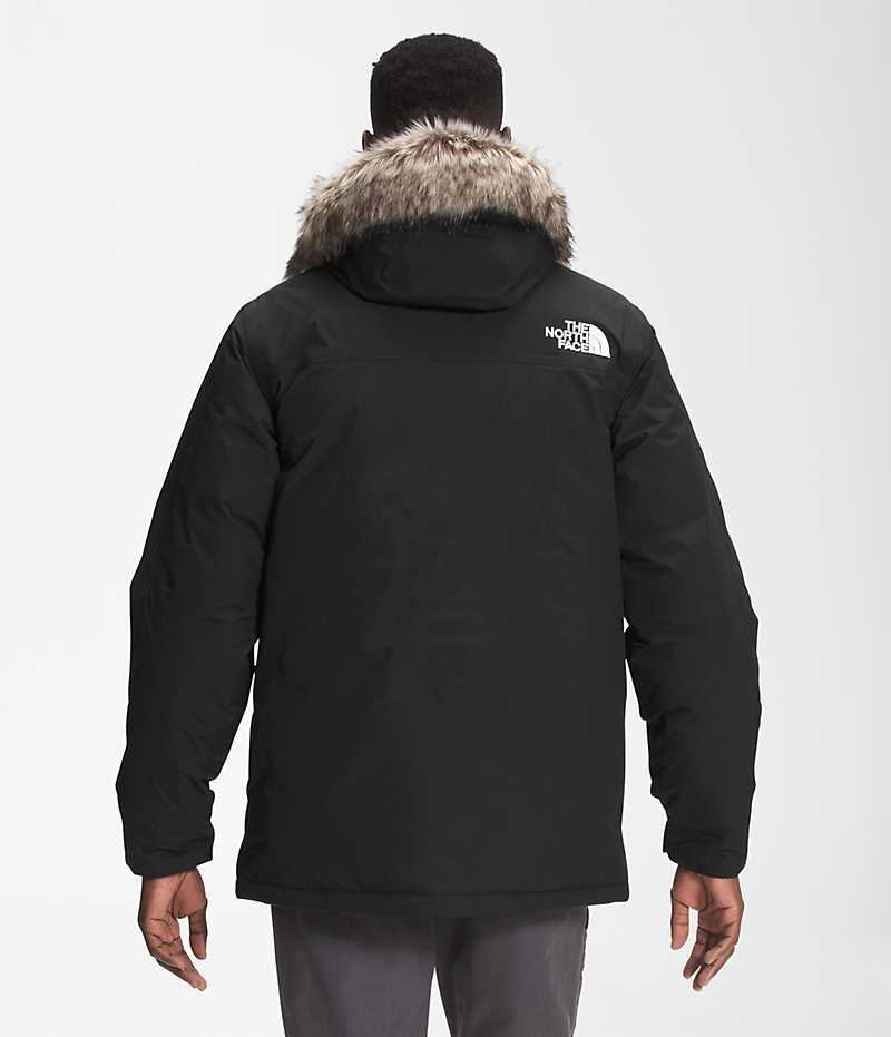 Parka The North Face McMurdo Hombre Negras | CHILE-IPAFQ