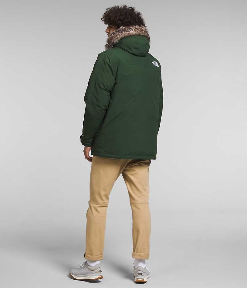 Parka The North Face McMurdo Hombre Verde | CHILE-NJVFY