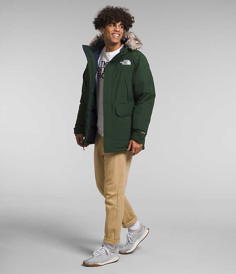 Parka The North Face McMurdo Hombre Verde | CHILE-NJVFY