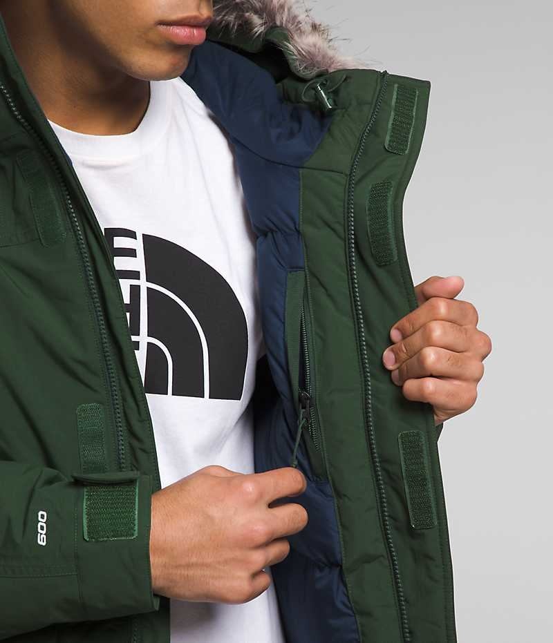 Parka The North Face McMurdo Hombre Verde | CHILE-NJVFY