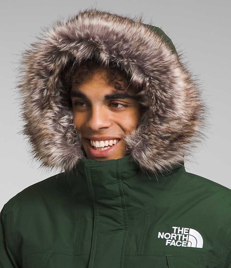 Parka The North Face McMurdo Hombre Verde | CHILE-NJVFY