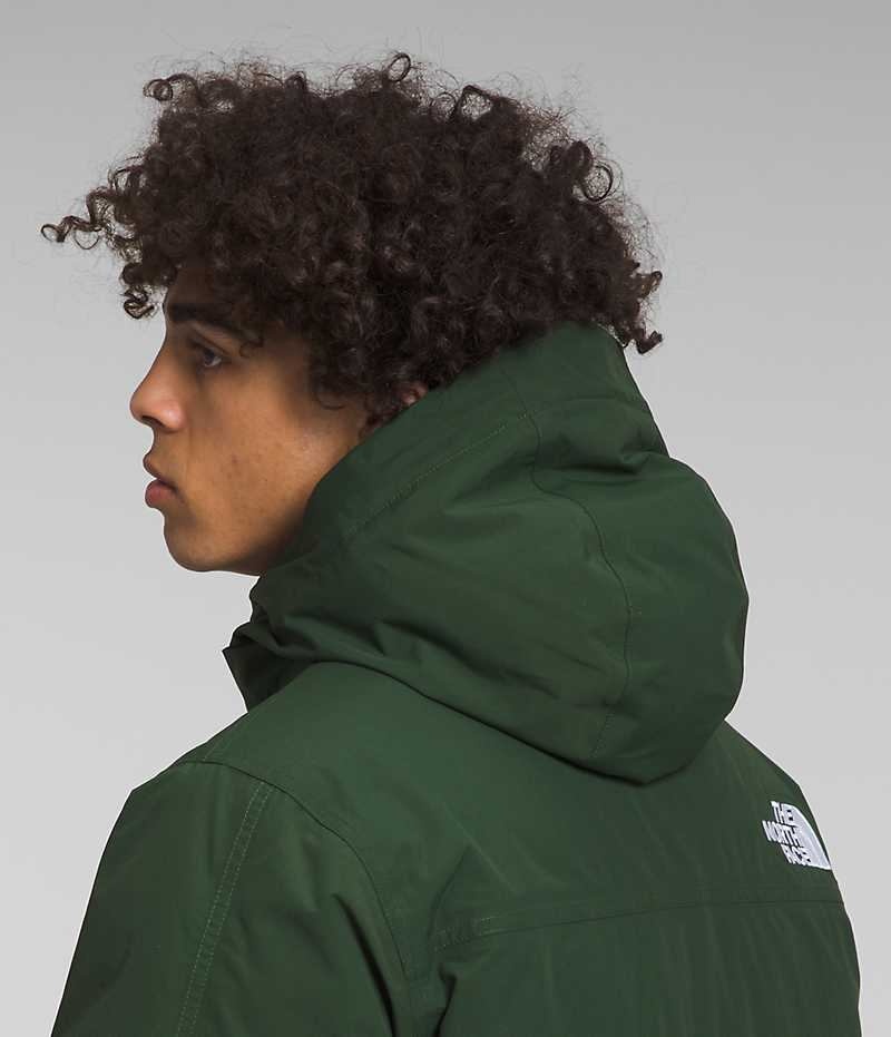 Parka The North Face McMurdo Hombre Verde | CHILE-NJVFY