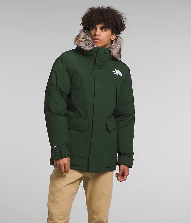 Parka The North Face McMurdo Hombre Verde | CHILE-NJVFY