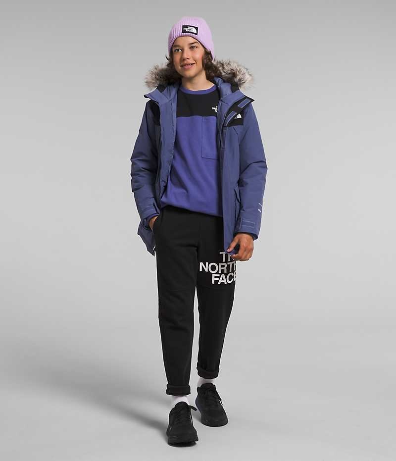 Parka The North Face McMurdo Niño Azules | CL-NOPUG