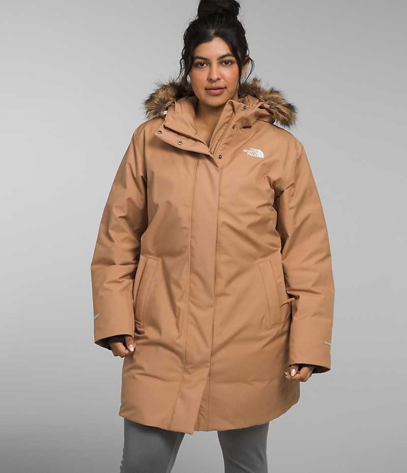 Parka The North Face Plus Arctic Mujer Marrones | CHILE-BXZAT