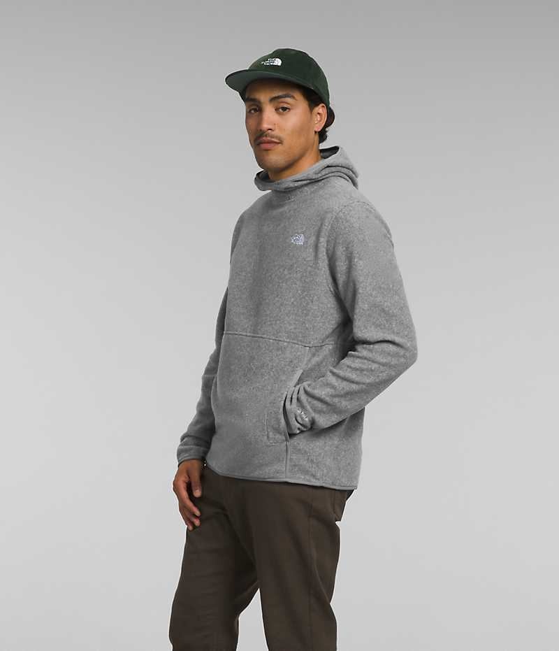 Pullover The North Face Alpine Polartec® 100 Hombre Gris | CL-CUBIE