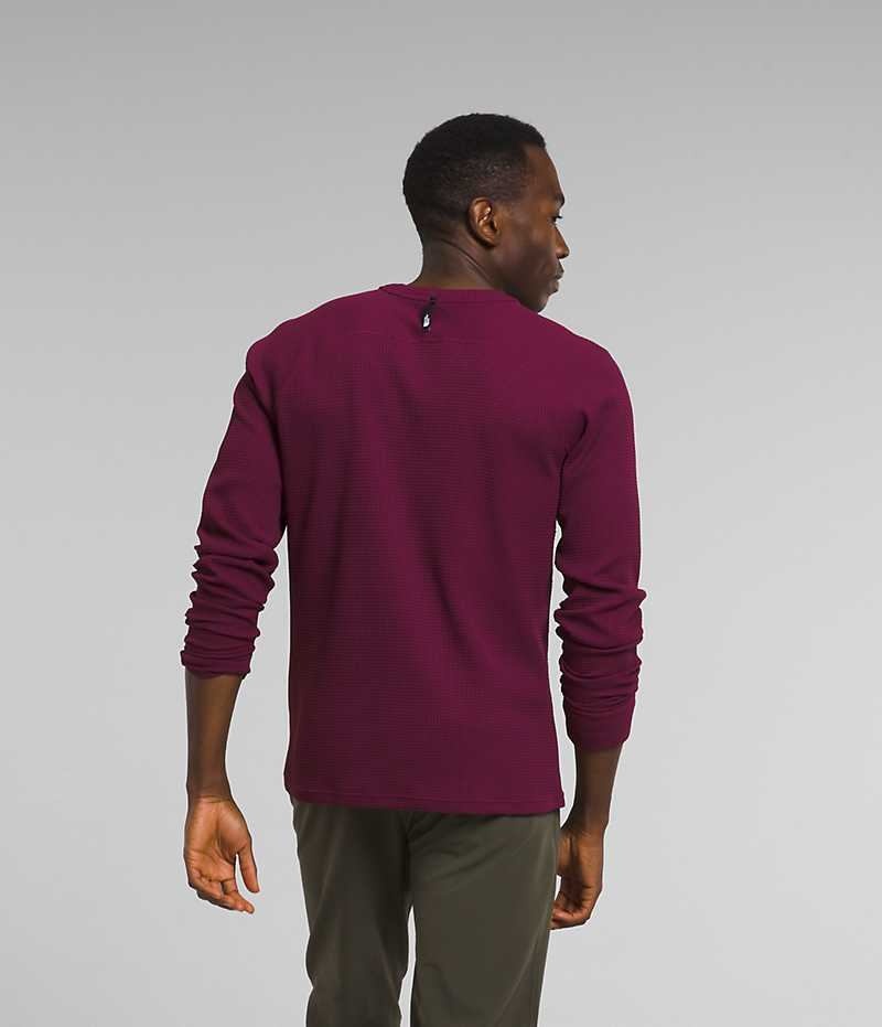 Pullover The North Face Canyon Fog Thermal Long Sleeve Hombre Fucsia | CL-GOAXF