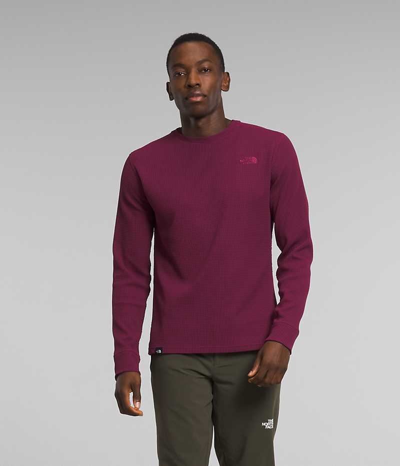 Pullover The North Face Canyon Fog Thermal Long Sleeve Hombre Fucsia | CL-GOAXF