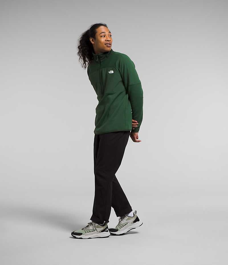 Pullover The North Face Canyonlands High Altitude ½-Zip Hombre Verde | CL-TQCRF