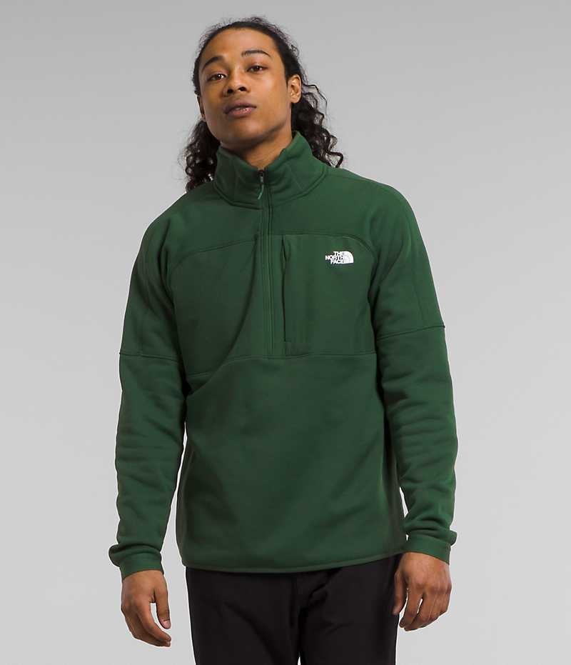 Pullover The North Face Canyonlands High Altitude ½-Zip Hombre Verde | CL-TQCRF