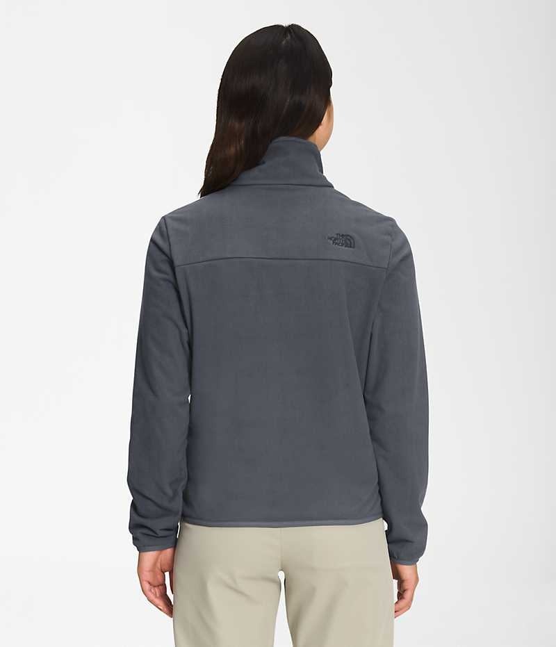 Sudadera The North Face Polar Osito ¼-Zip Mujer Gris | CL-WDIOK