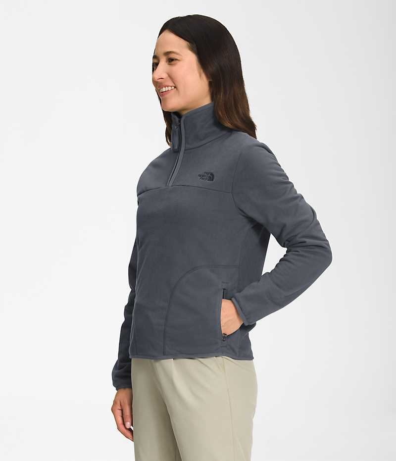 Sudadera The North Face Polar Osito ¼-Zip Mujer Gris | CL-WDIOK