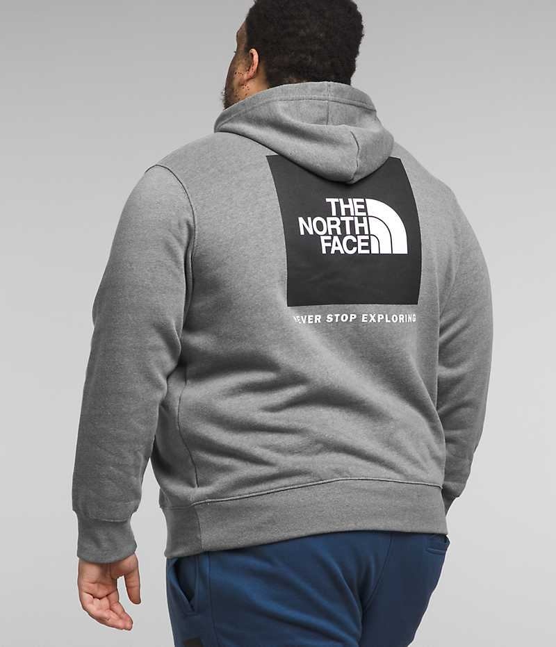 Sudadera con Capucha The North Face Big Box NSE Pullover Hombre Gris | CHILE-NUIYJ