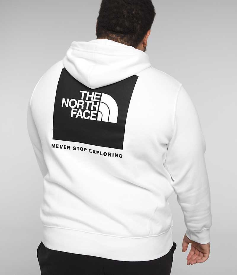 Sudadera con Capucha The North Face Big Box NSE Pullover Hombre Blancas | CL-QDYUF