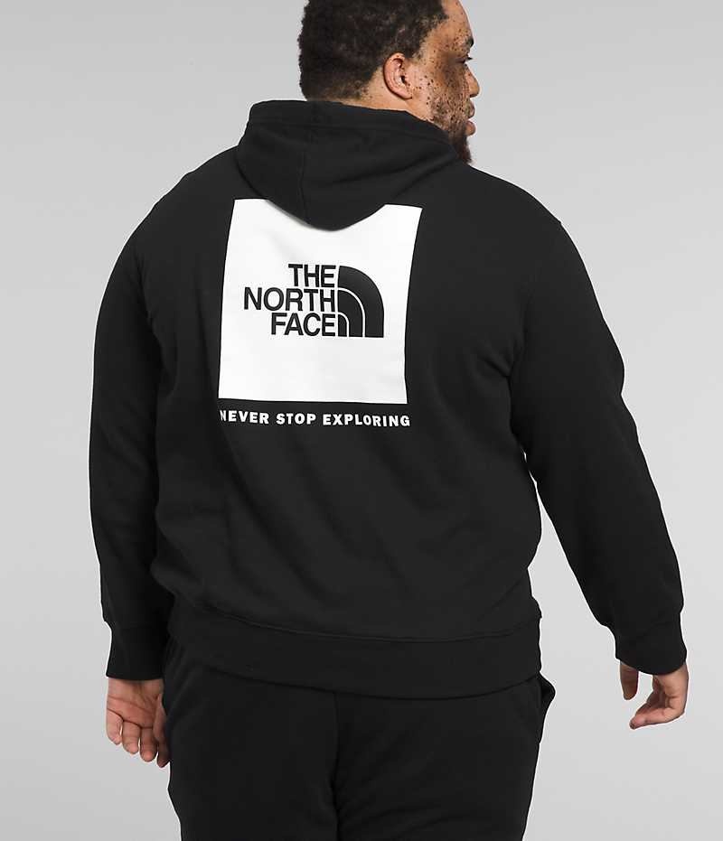 Sudadera con Capucha The North Face Big Box NSE Pullover Hombre Negras | CHILE-AGSQU