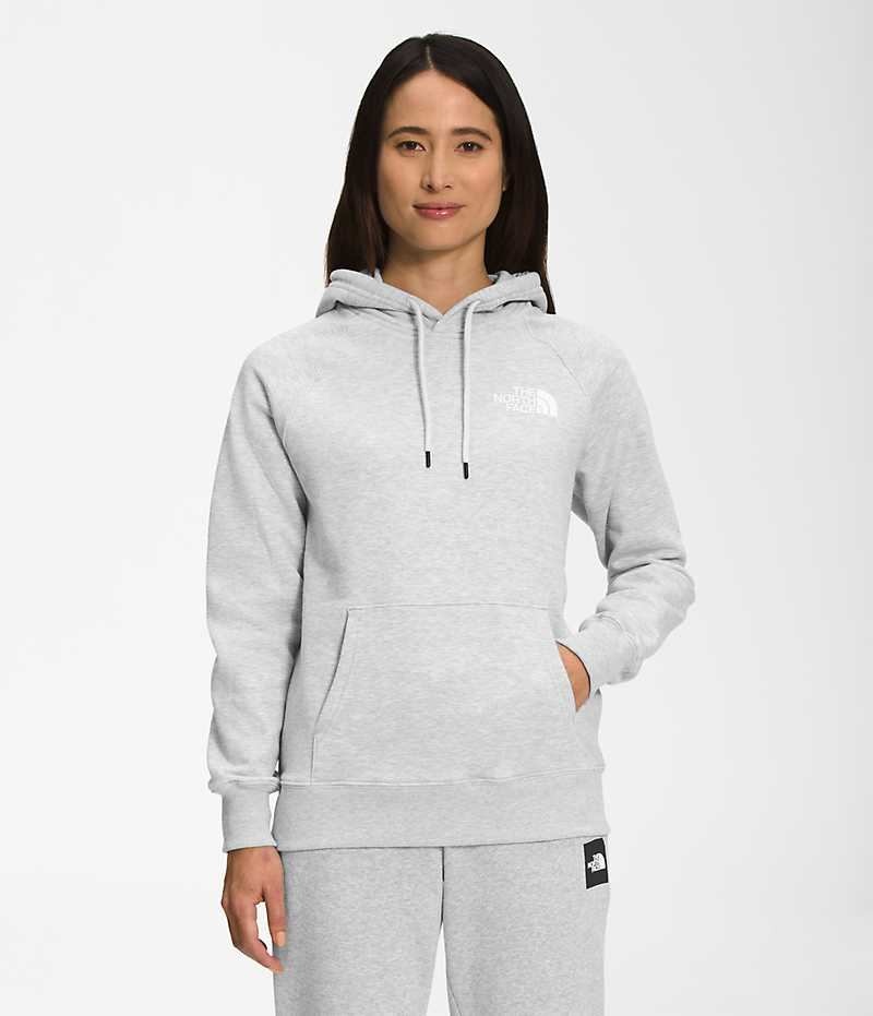 Sudadera con Capucha The North Face Box NSE Pullover Mujer Gris Claro | CHILE-FDRGB